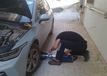 Mahsur kalan kediler kurtarıldı