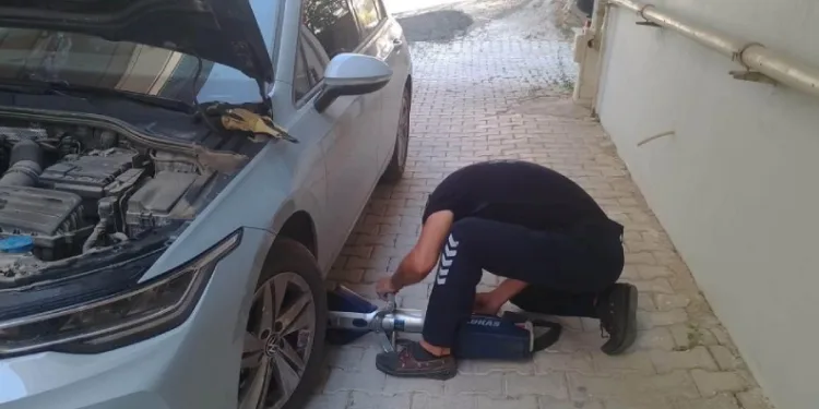 Mahsur kalan kediler kurtarıldı