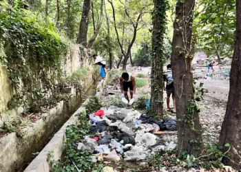 Gördükleri manzaraya duyarsız kalmayıp, eldiven ve maskeyle temizlik yaptılar