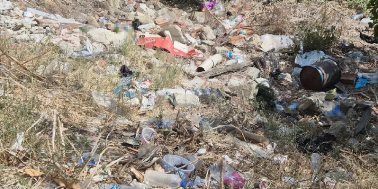 Okulun dibindeki metruk alan çöplüğe döndü