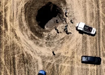 İliç’te obruğa düşen yaban domuzu yavruları kurtarıldı