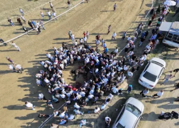 Yarışta çarpışan iki at telef oldu, jokey son anda atlayarak kurtuldu