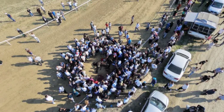 Yarışta çarpışan iki at telef oldu, jokey son anda atlayarak kurtuldu
