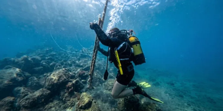 Güvercinada açıklarında deniz dibi temizliği yapıldı