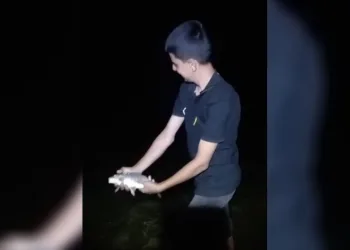 Oltasına takılan yavru sazanı “Büyü de gel” diyerek tekrar suya bıraktı