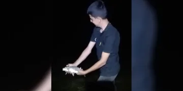 Oltasına takılan yavru sazanı “Büyü de gel” diyerek tekrar suya bıraktı