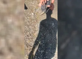 Yakaladığı yılanla arkadaşını kovaladı