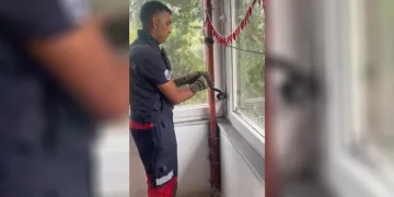 Eve giren yılan pencere arasına sıkıştı