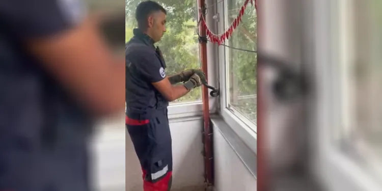 Eve giren yılan pencere arasına sıkıştı