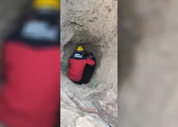 Bolu’da çukurda mahsur kalan keçiyi itfaiye ekipleri kurtardı