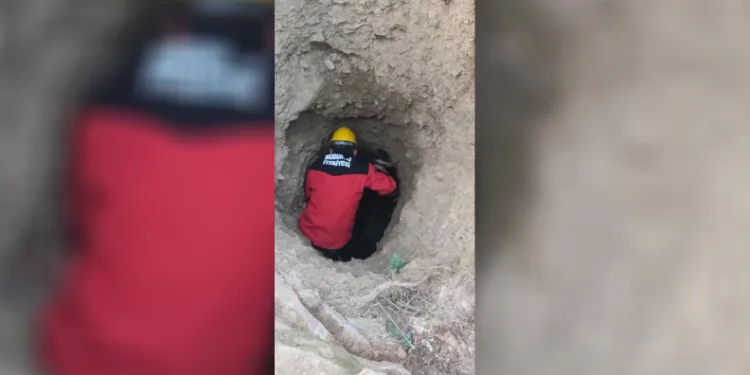 Bolu’da çukurda mahsur kalan keçiyi itfaiye ekipleri kurtardı
