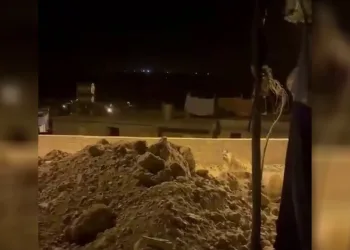 Adıyaman’da çizgili sırtlan evlerin bahçesinde görüntülendi