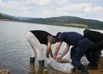 Uşak’ta Göğem Göleti’ne pullu sazan yavruları bırakıldı