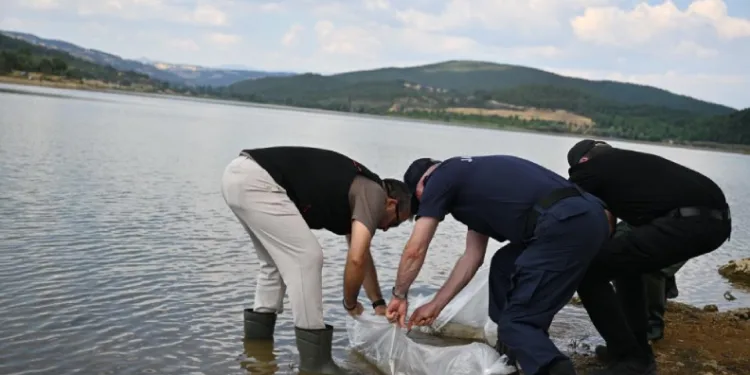 Uşak’ta Göğem Göleti’ne pullu sazan yavruları bırakıldı