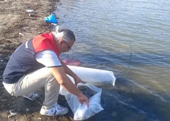 Göletlere 80 bin yavru balık bırakıldı