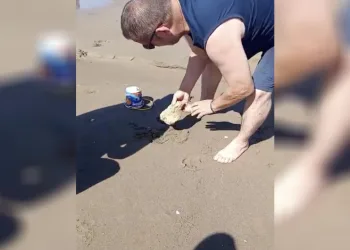 Plajda görülen yılan vatandaşlara panik yaşattı