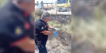 İtfaiye ekipleri yangından kurtardıkları kaplumbağayı suyla serinletti