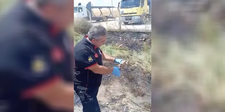 İtfaiye ekipleri yangından kurtardıkları kaplumbağayı suyla serinletti