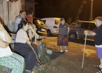 Artvin’de yaban domuzu nöbeti