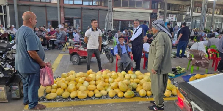 Çermik kavunu pazarda tezgahta yerini aldı