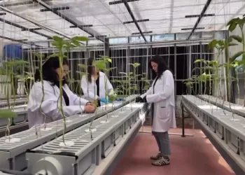 NÖHÜ’de tarımın geleceği teknolojiyle şekilleniyor