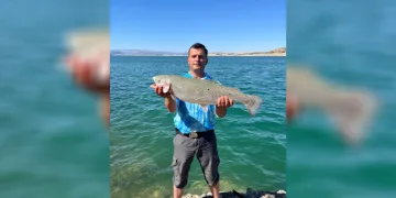 Amatör balıkçı oltayla 5,5 kiloluk alabalık yakaladı