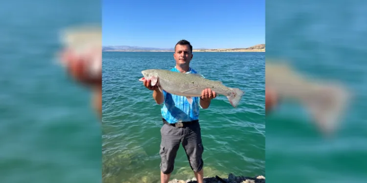 Amatör balıkçı oltayla 5,5 kiloluk alabalık yakaladı