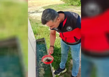 Haziran böceğiyle mücadele sürüyor