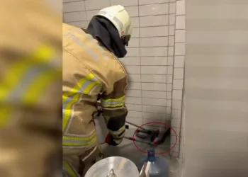 Petrol istasyonuna giren 2,5 metre uzunluğunda yılan yakalandı