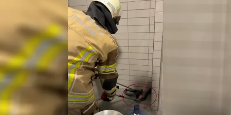 Petrol istasyonuna giren 2,5 metre uzunluğunda yılan yakalandı