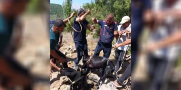 Su kuyusuna düşen keçi itfaiyenin operasyonuyla kurtarıldı