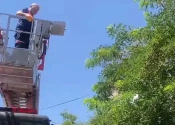 Ayağına dolanan ip kargayı mahsur bıraktı, itfaiye kurtardı