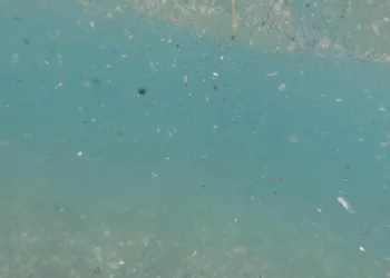 Antalya’da berraklaşmayan deniz suyunun sebebi karasal kirlilik