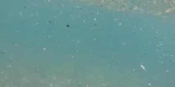 Antalya’da berraklaşmayan deniz suyunun sebebi karasal kirlilik