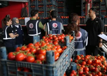 Diyarbakır’da temmuz ayında piyasa denetiminde 2,3 milyon TL’yi aşkın idari para cezası uygulandı