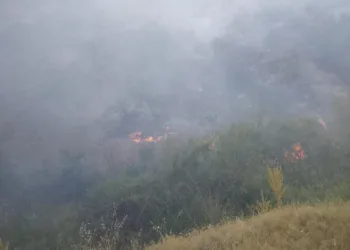 Pütürge’de orman yangını