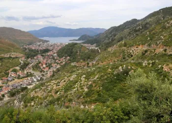 Kara tablo 5 yılda yeşile döndü