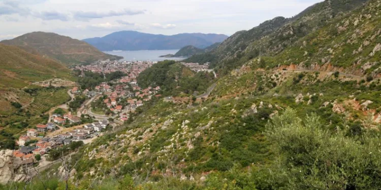 Kara tablo 5 yılda yeşile döndü