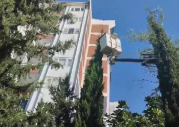 Adıyaman’da çam ağacından inemeyen ve mahsur kalan yavru kedi, itfaiye ekiplerinin çalışmaları sonucu kurtarıldı.
