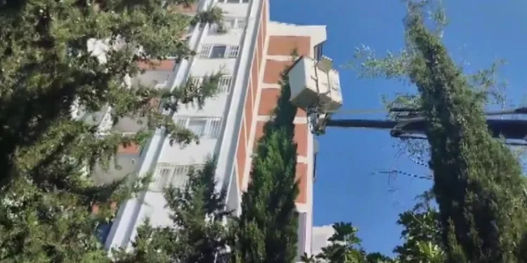 Adıyaman’da çam ağacından inemeyen ve mahsur kalan yavru kedi, itfaiye ekiplerinin çalışmaları sonucu kurtarıldı.