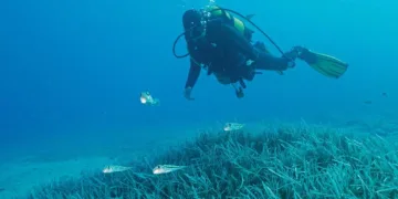Türkiye’nin ilk Deniz Milli Parkı Fethiye-Kaş ve Kuzey Ege sınırlarında