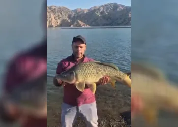 Keban Baraj Gölü’nde 10 kiloluk sazan yakalandı