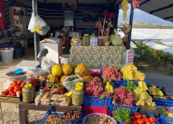 Yol üzerinde dalından sofraya