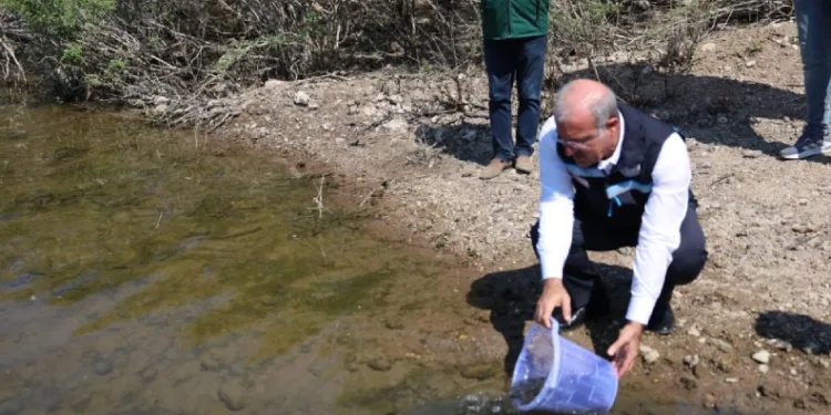 Atikhisar Barajı’na 348 bin sazan balığı yavrusu bırakıldı