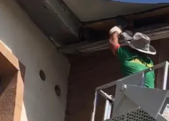 Çatıda mahsur kalan güvercin için zamanla yarışıldı
