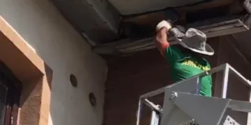 Çatıda mahsur kalan güvercin için zamanla yarışıldı
