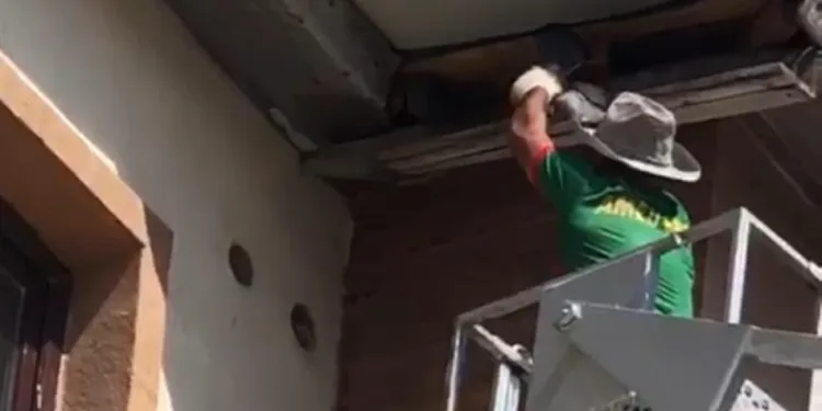 Çatıda mahsur kalan güvercin için zamanla yarışıldı