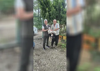 Evinin önüne gelen yaralı leyleğe sahip çıktı