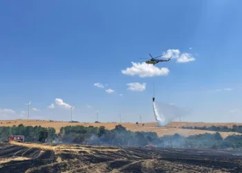 Orman ve anız yangını havadan ve karadan müdahaleyle söndürüldü