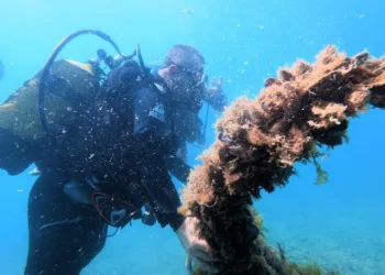 Karadeniz kıyılarındaki ilk su altı kazısında 2 bin 500 yıllık tarihe daldılar
